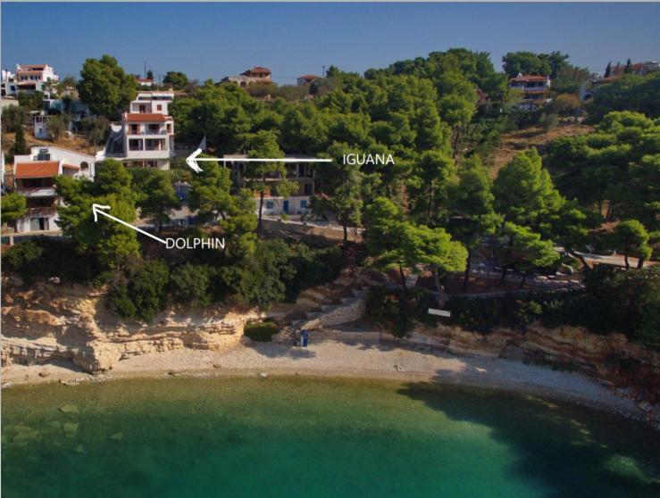 Villa Iguana Votsi Votsi  ภายนอก รูปภาพ
