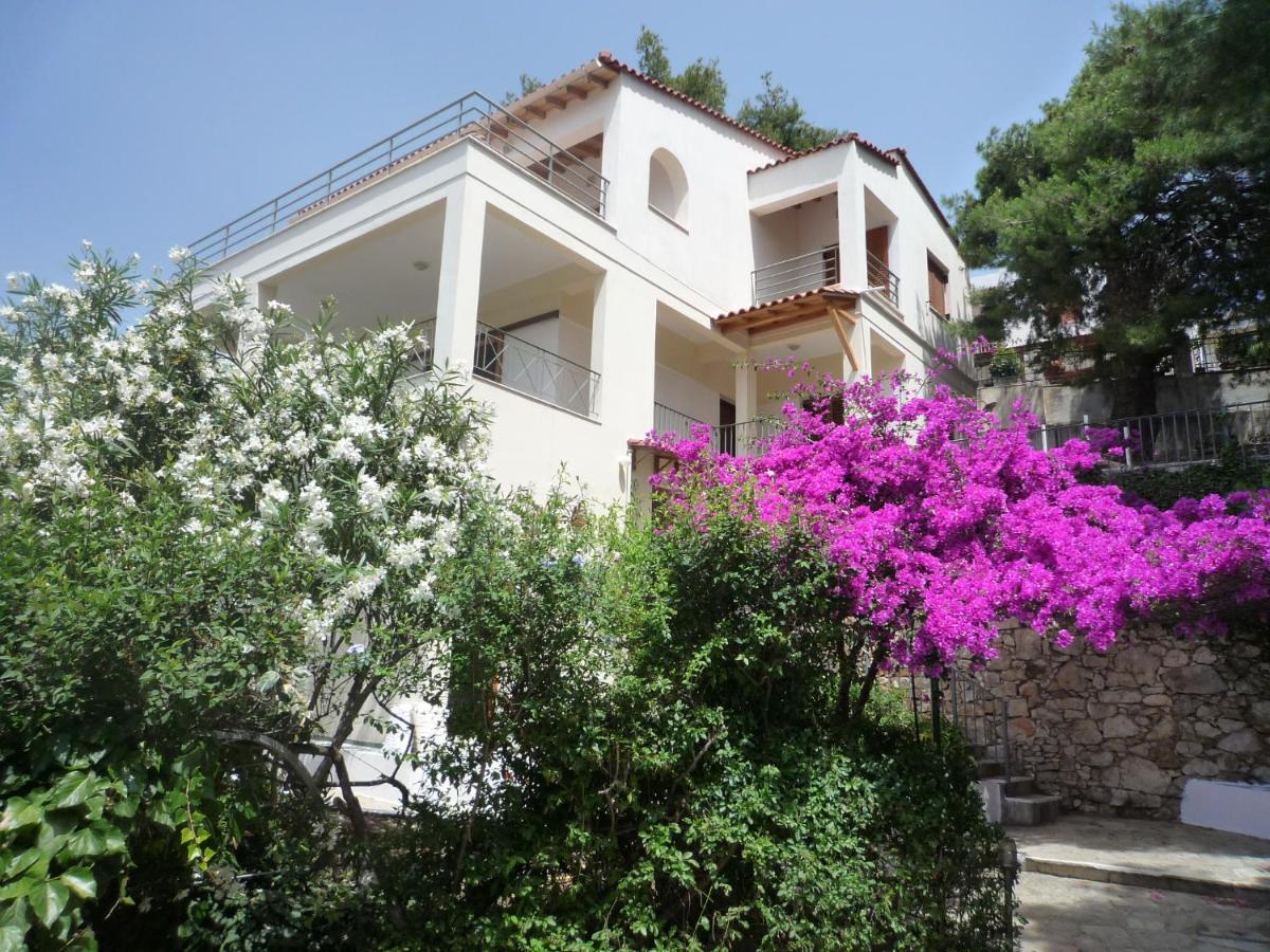 Villa Iguana Votsi Votsi  ภายนอก รูปภาพ